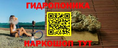стаф Обнинск